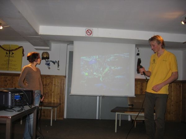 Karaoke-avond