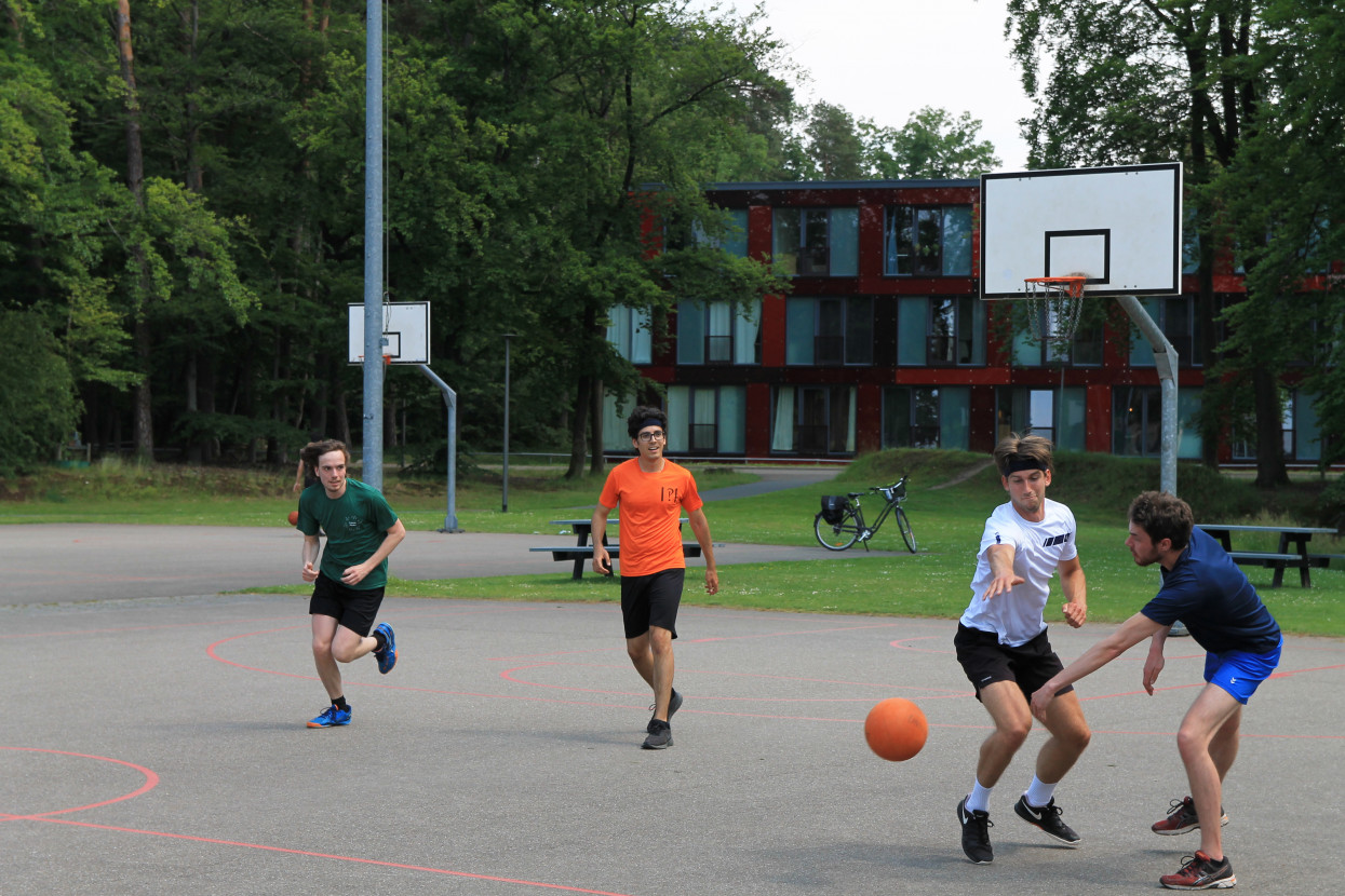 Sports day