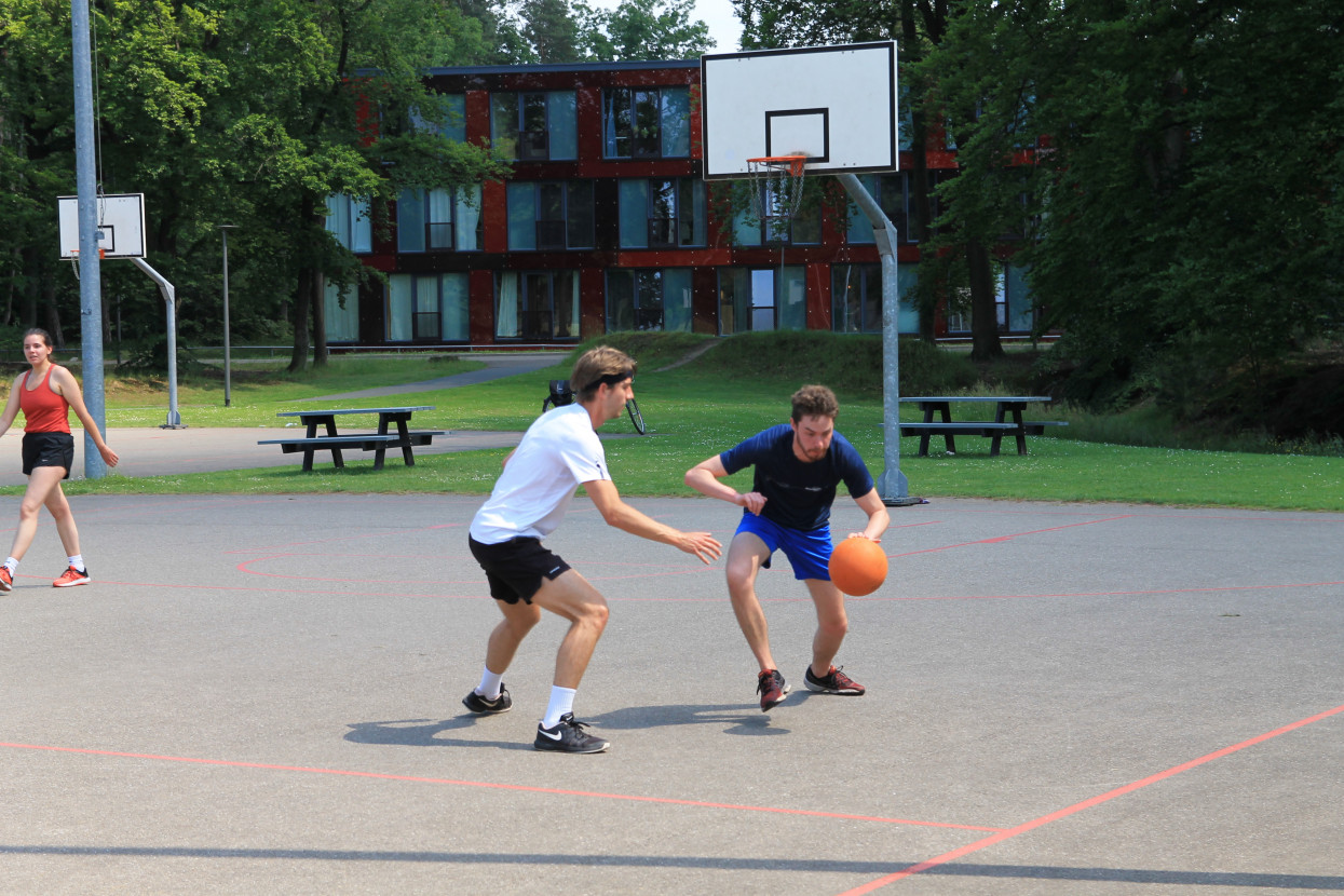 Sports day