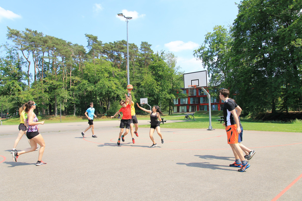 Sports day