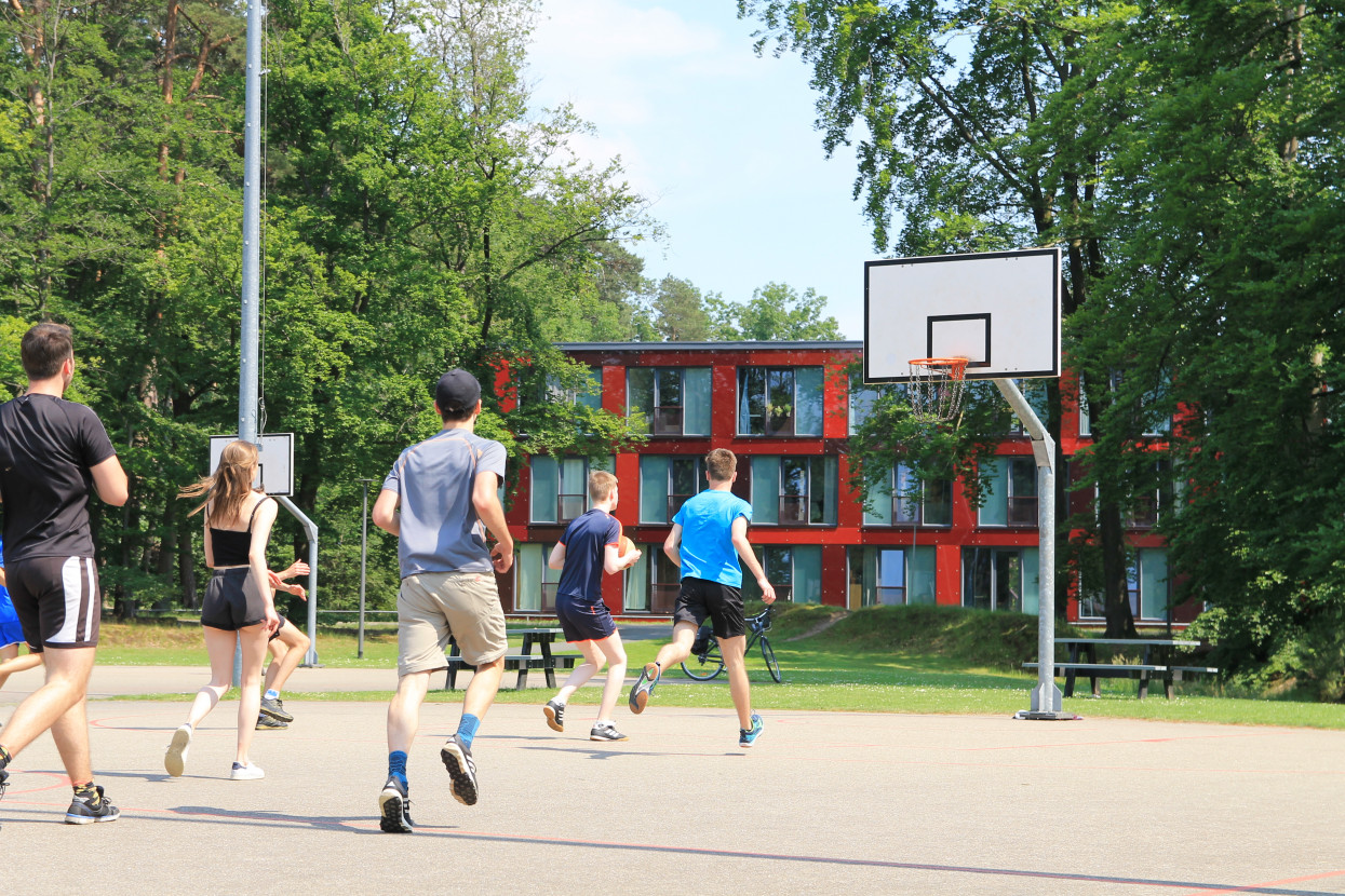 Sports day