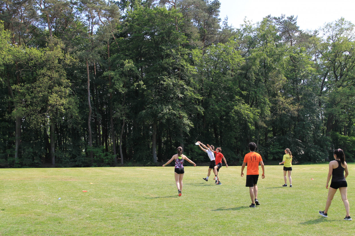 Sports day