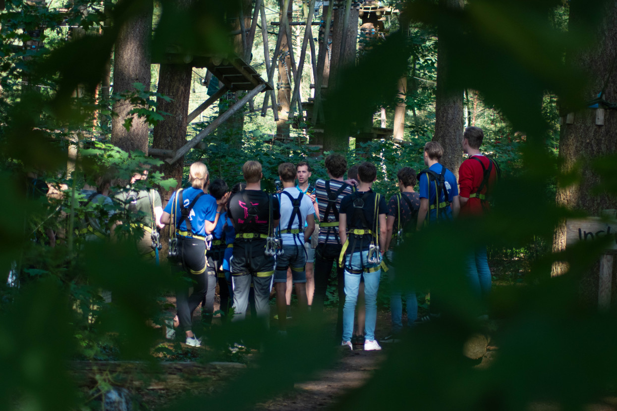 Kick-In Climbing Forest