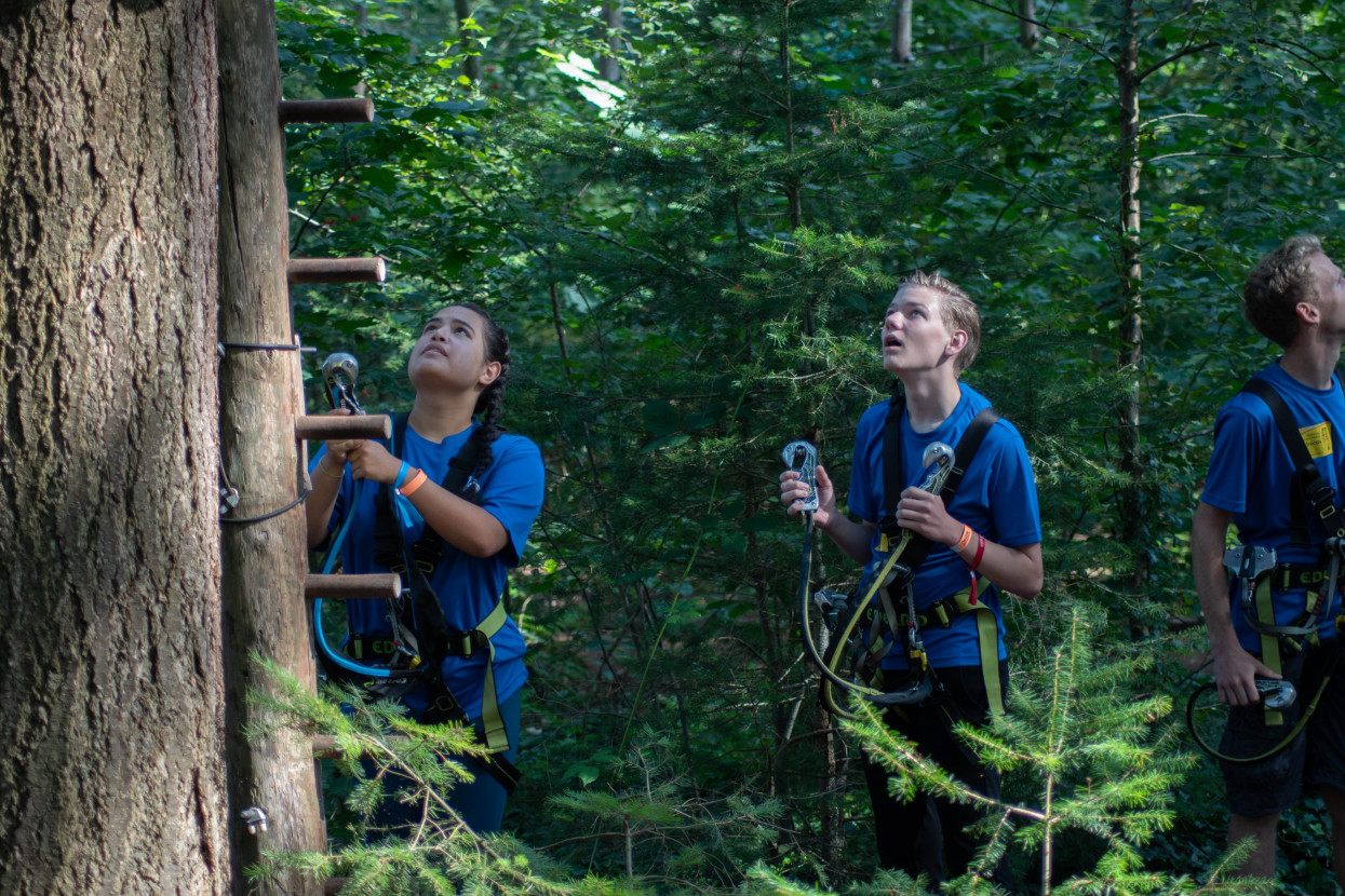 Kick-In Climbing Forest