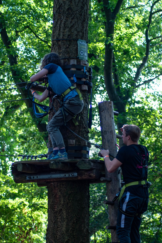 Kick-In Climbing Forest