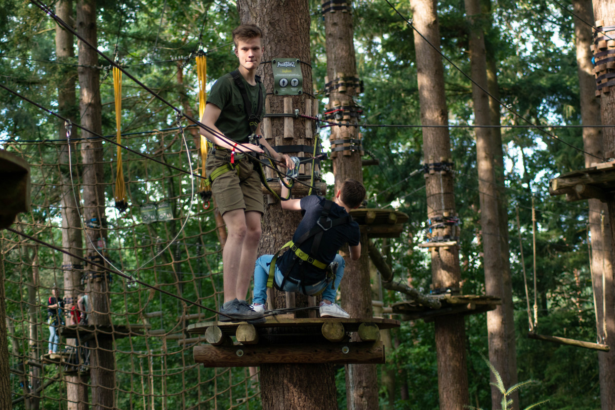 Kick-In Climbing Forest