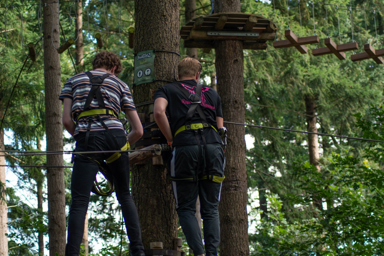 Kick-In Climbing Forest