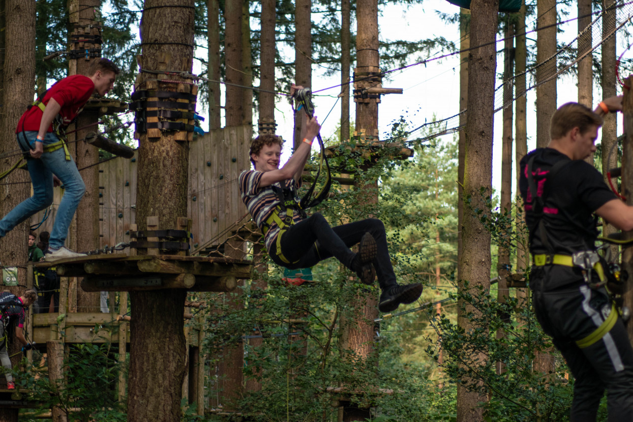 Kick-In Climbing Forest