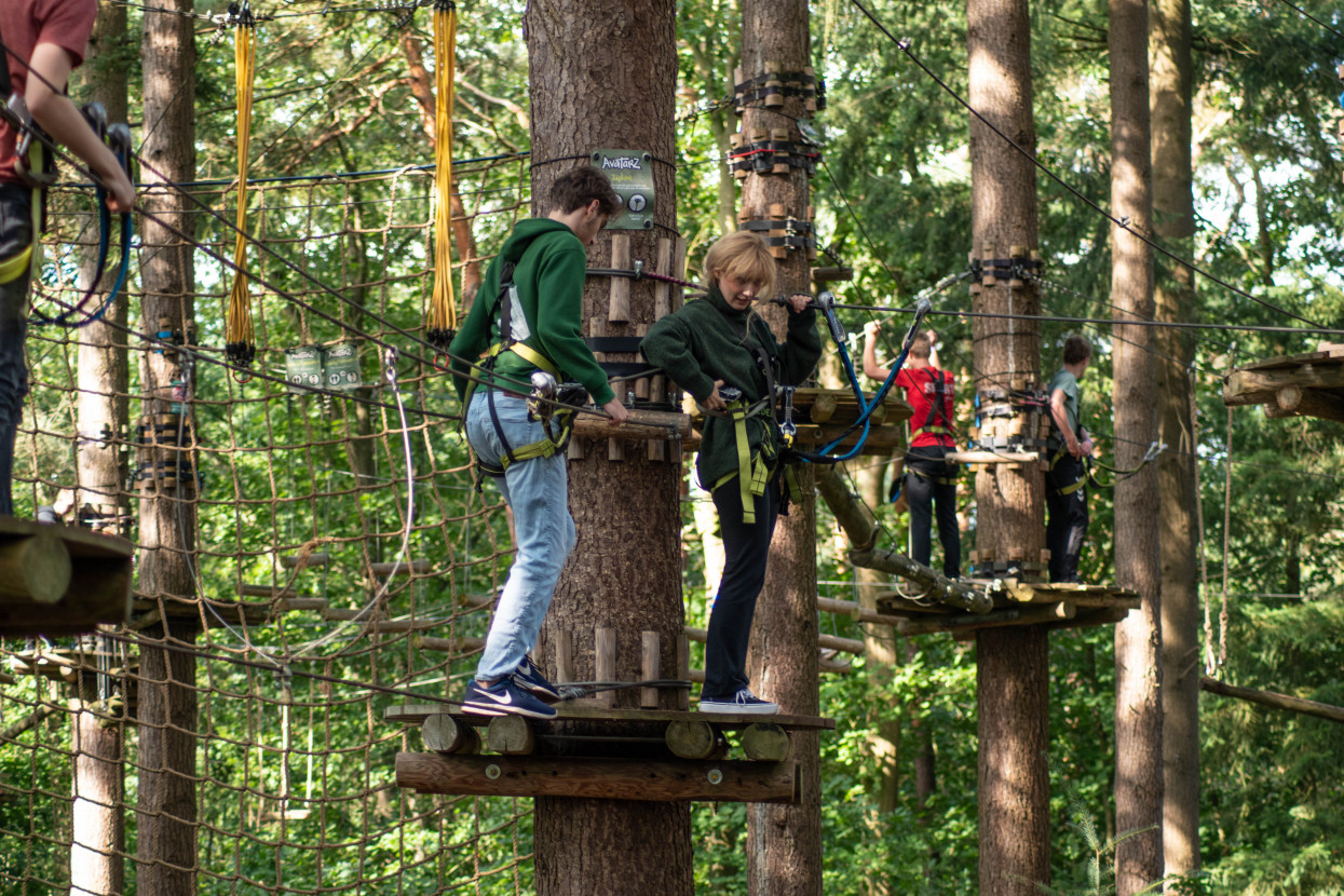 Kick-In Climbing Forest