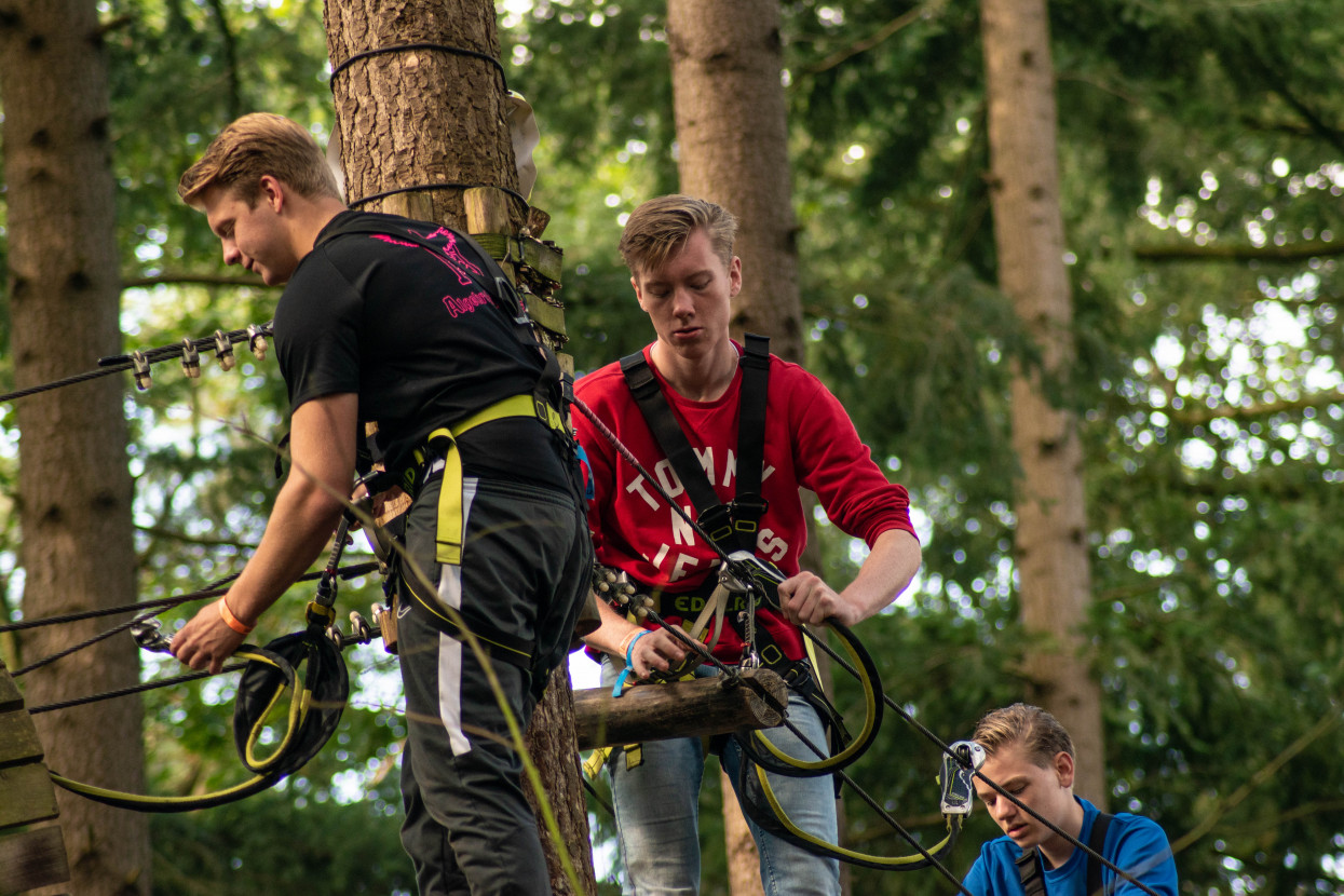 Kick-In Climbing Forest