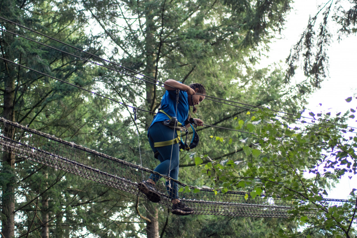 Kick-In Climbing Forest