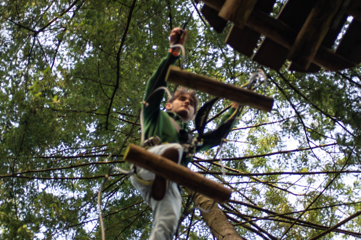 Kick-In Climbing Forest