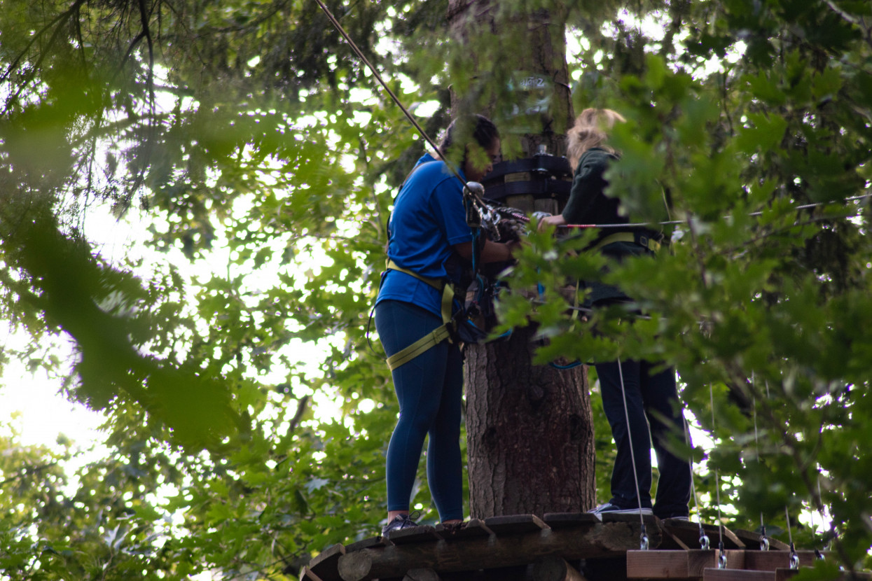 Kick-In Climbing Forest