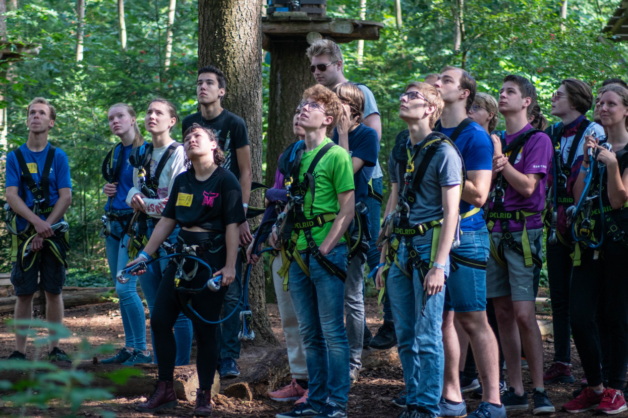 Kick-In Climbing Forest