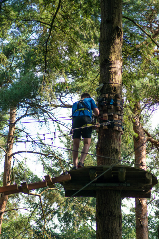 Kick-In Climbing Forest