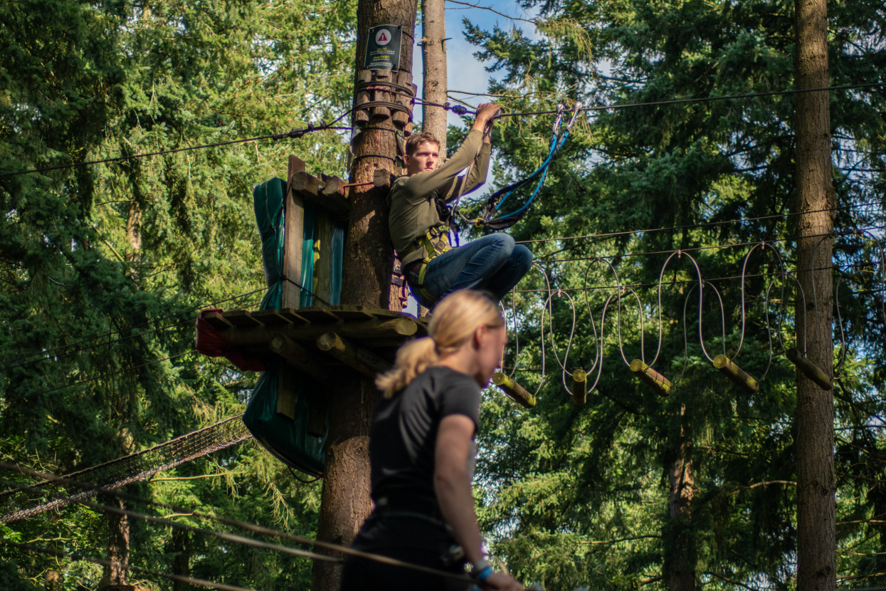 Kick-In Climbing Forest