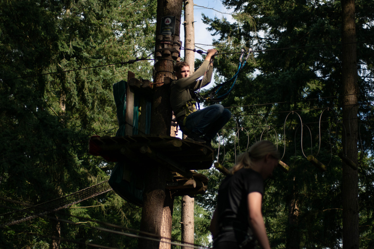 Kick-In Climbing Forest