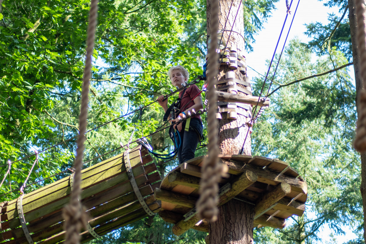 Kick-In Climbing Forest