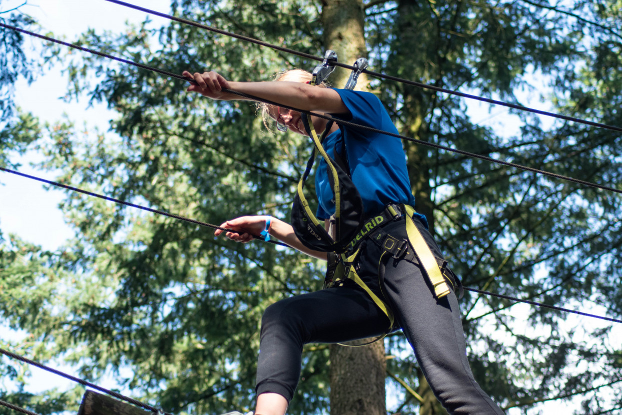 Kick-In Climbing Forest