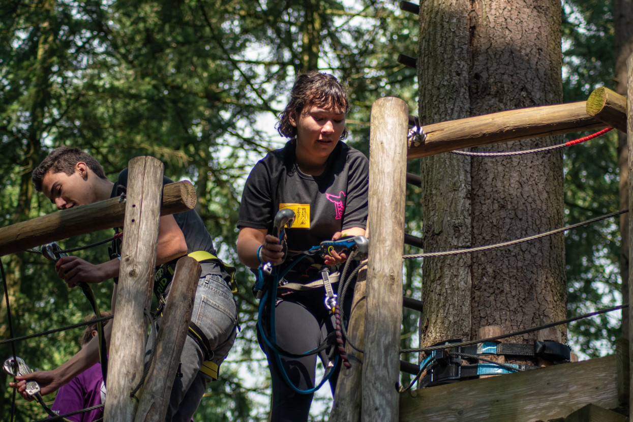 Kick-In Climbing Forest