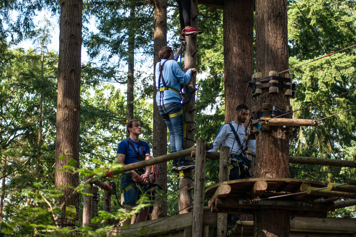 Kick-In Climbing Forest