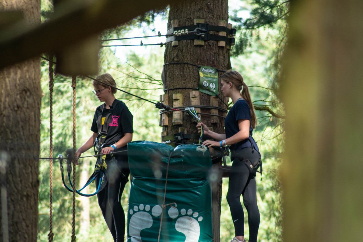 Kick-In Climbing Forest