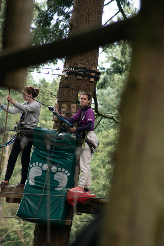 Kick-In Climbing Forest