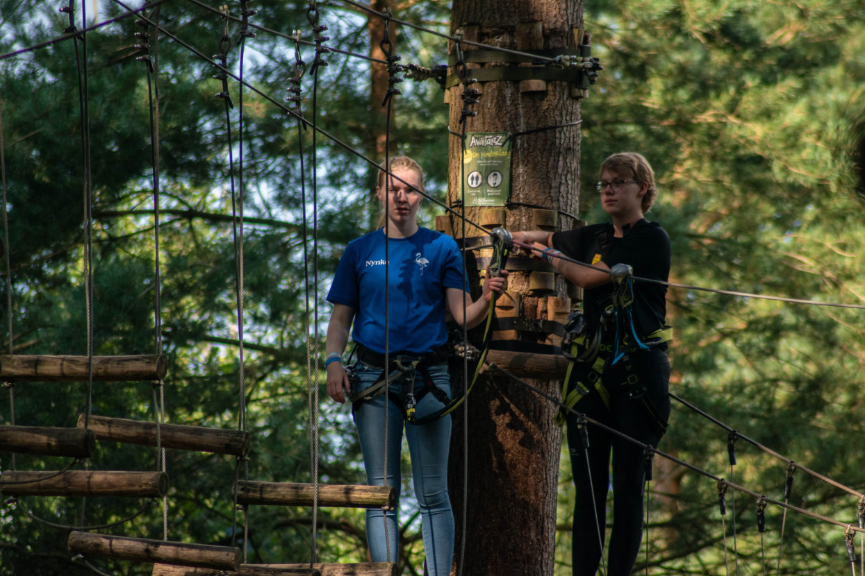 Kick-In Climbing Forest