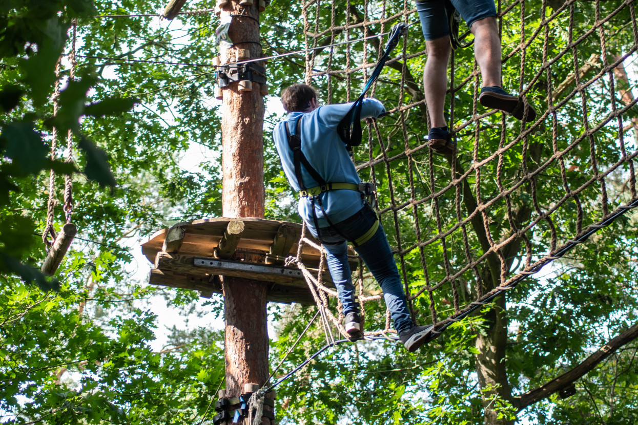 Kick-In Climbing Forest