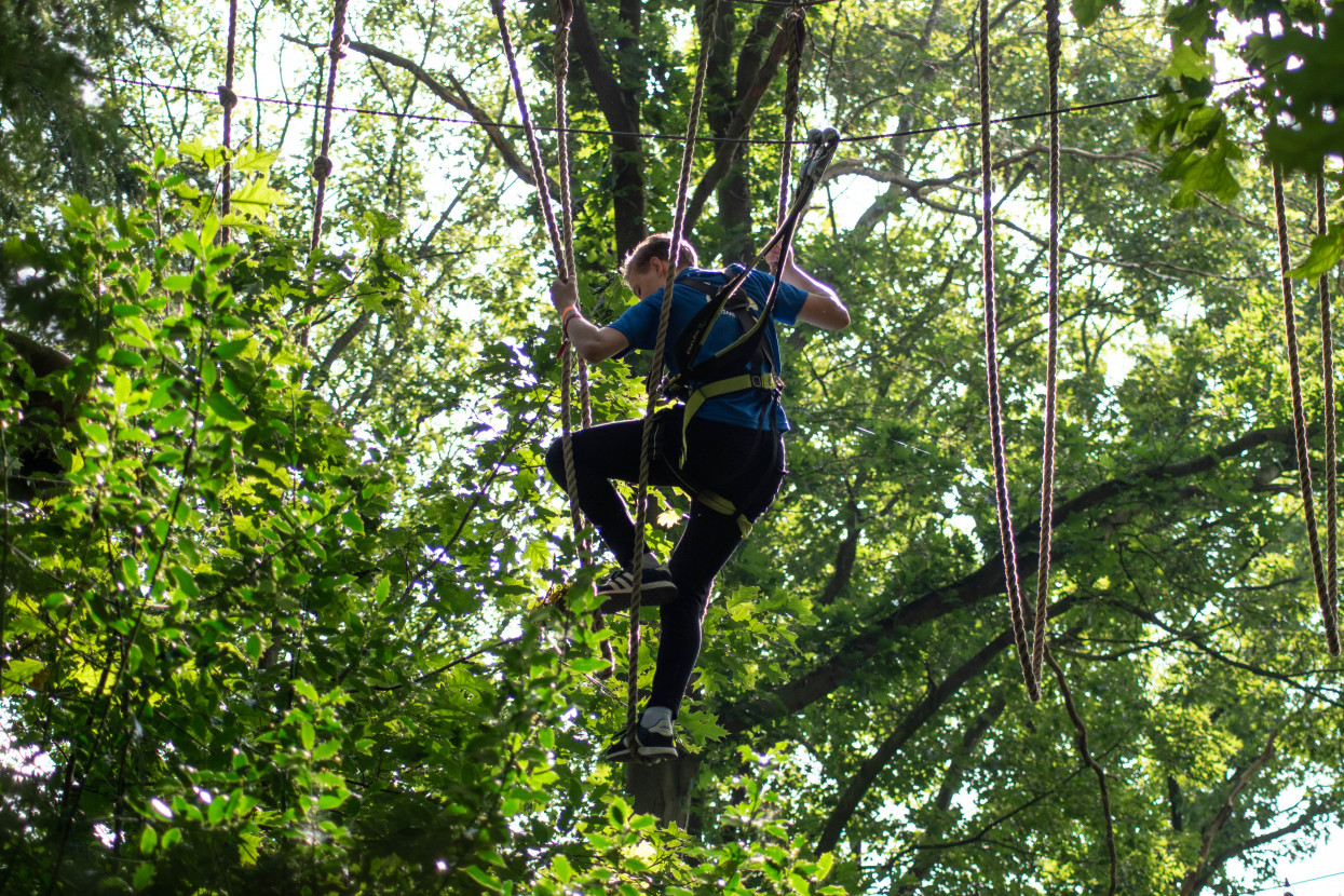 Kick-In Climbing Forest