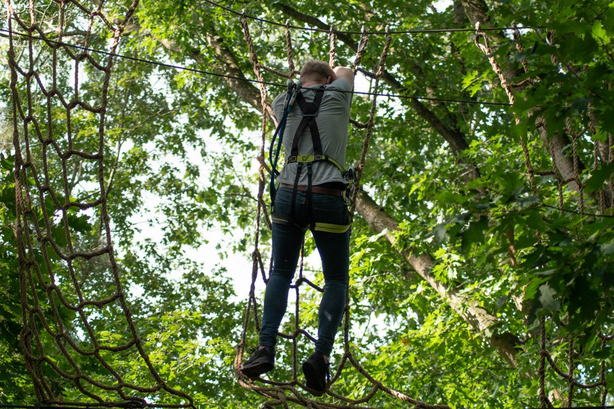 Kick-In Climbing Forest