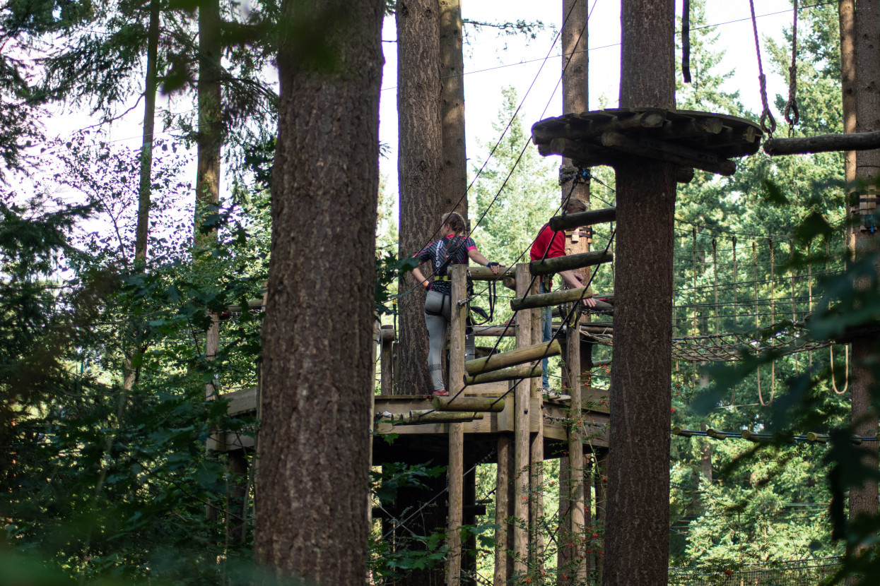 Kick-In Climbing Forest