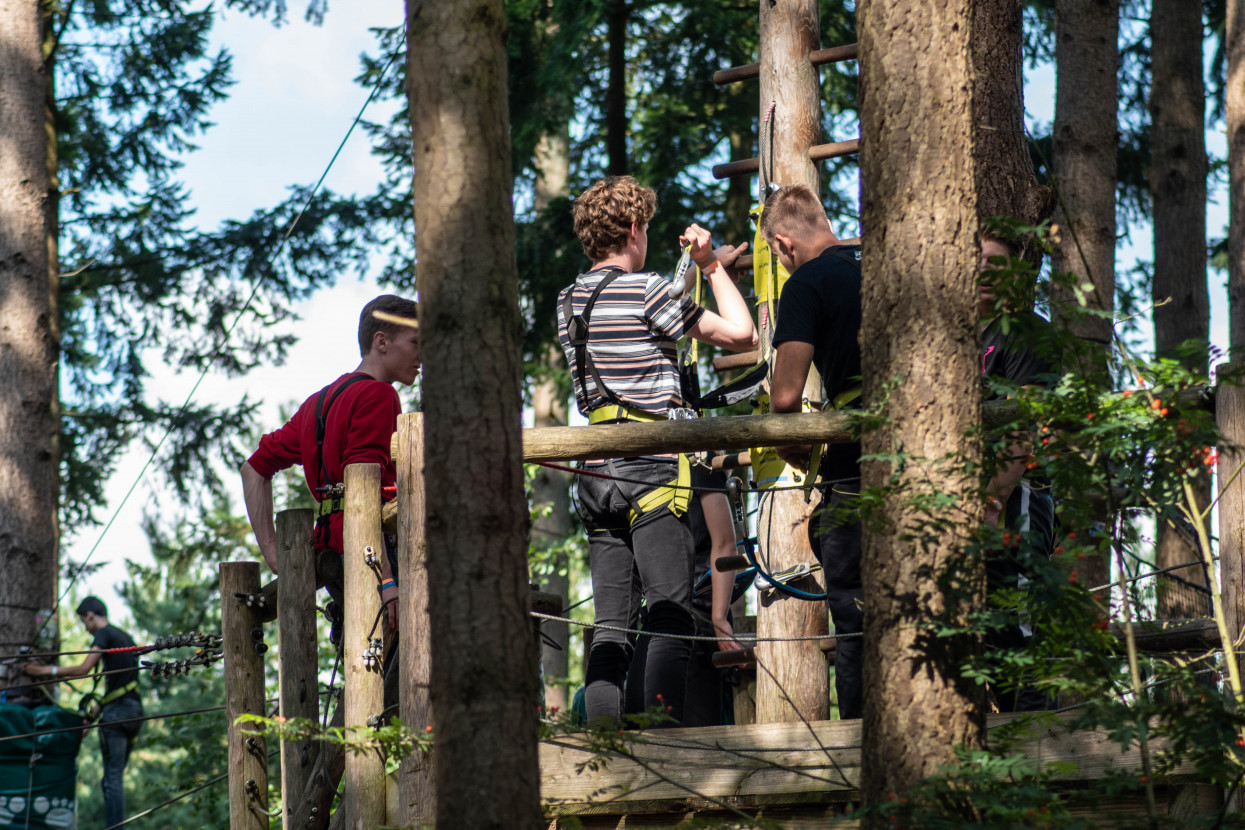 Kick-In Climbing Forest