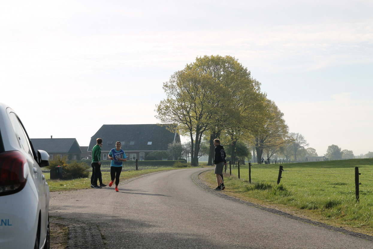 50th Batavierenrace