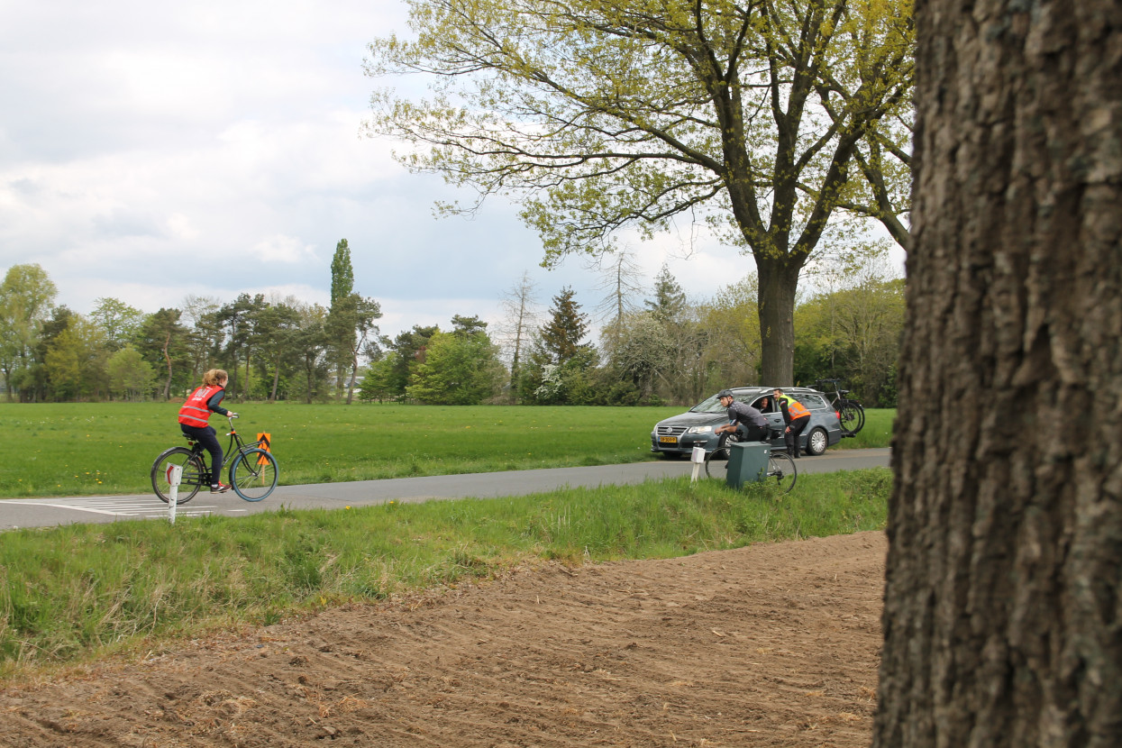 50th Batavierenrace