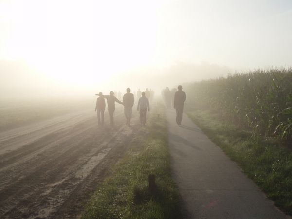 Introductie 2007