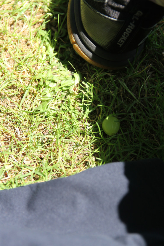 Sports Day