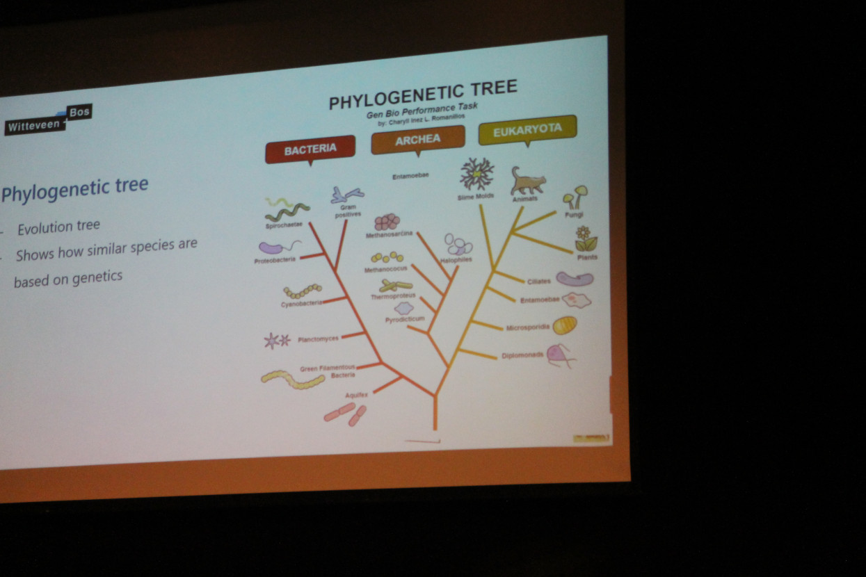 Symposium Nature’s Numbers