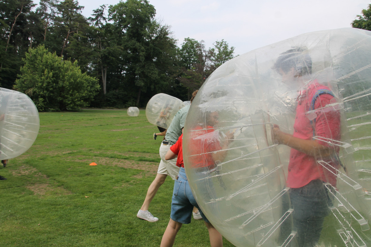 End of the Year Activity