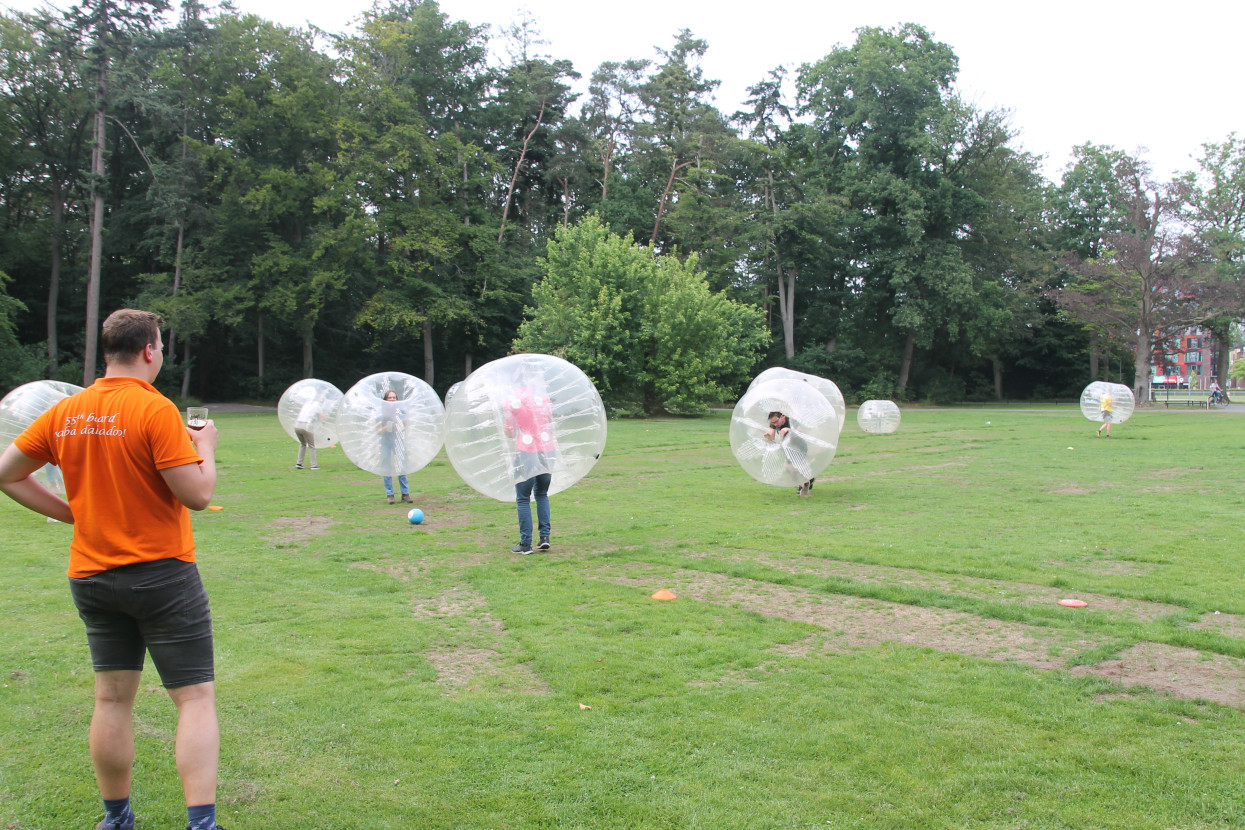 End of the Year Activity