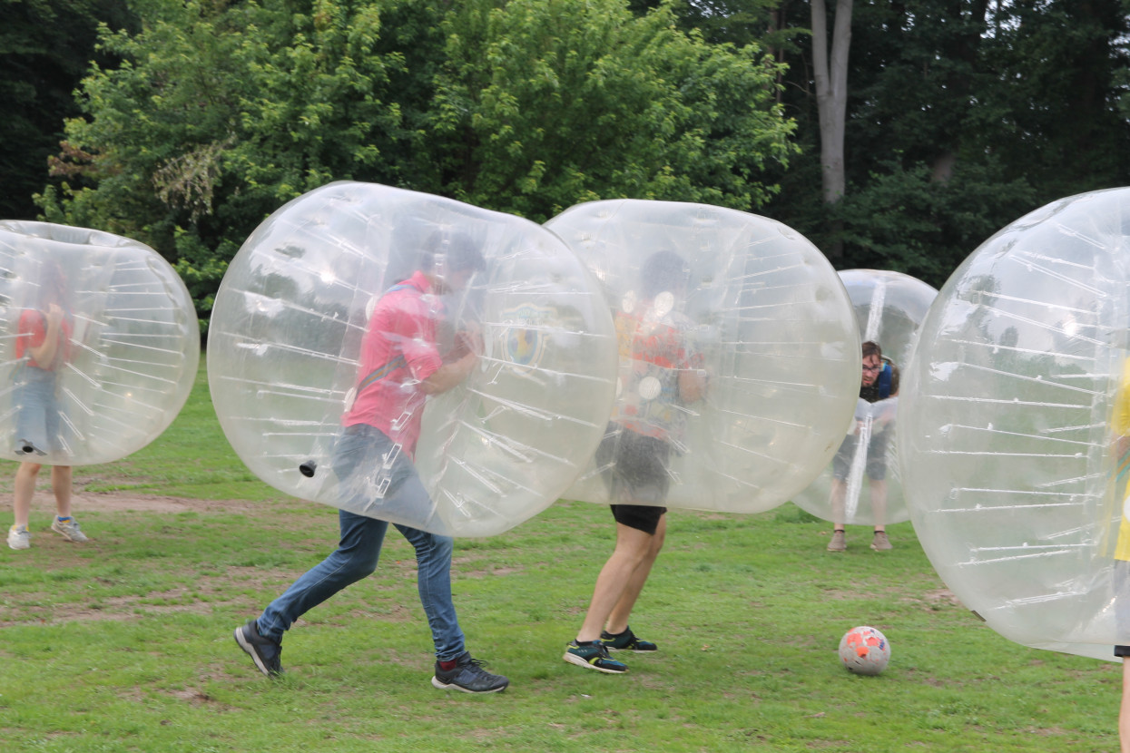 End of the Year Activity
