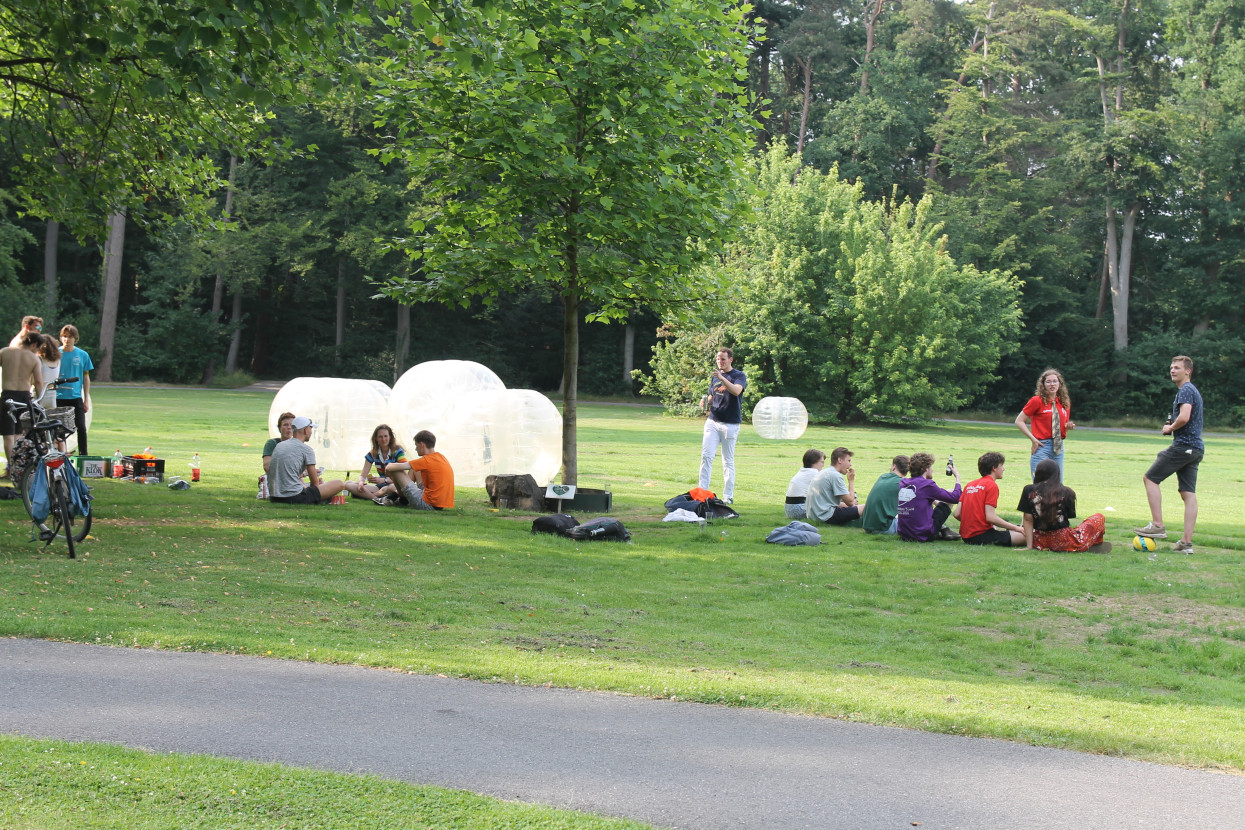 End of the Year Activity
