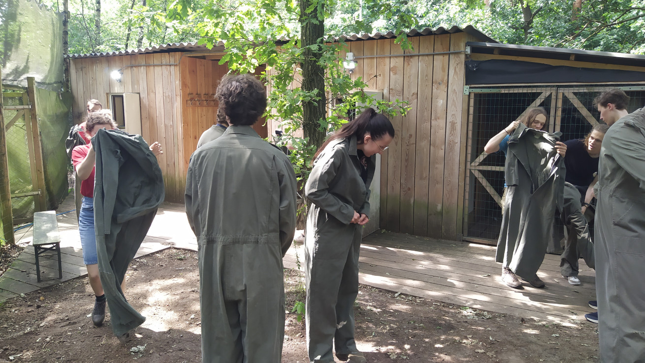 Big Activity: Paintball