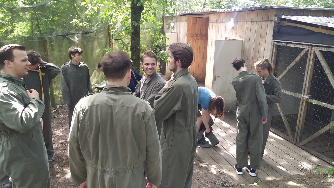 Big Activity: Paintball
