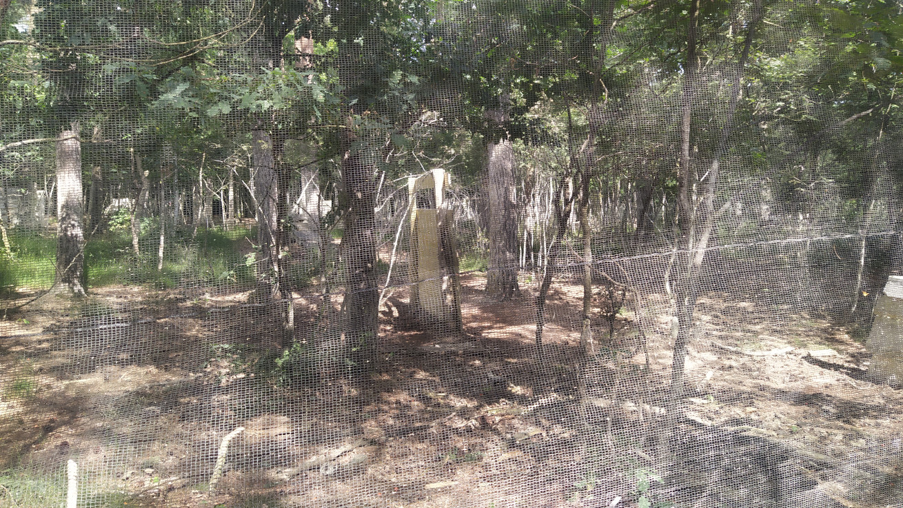 Big Activity: Paintball