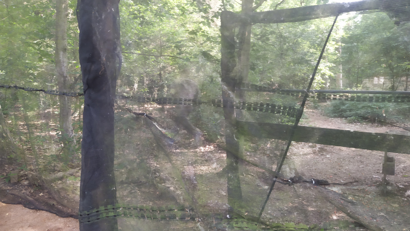 Big Activity: Paintball