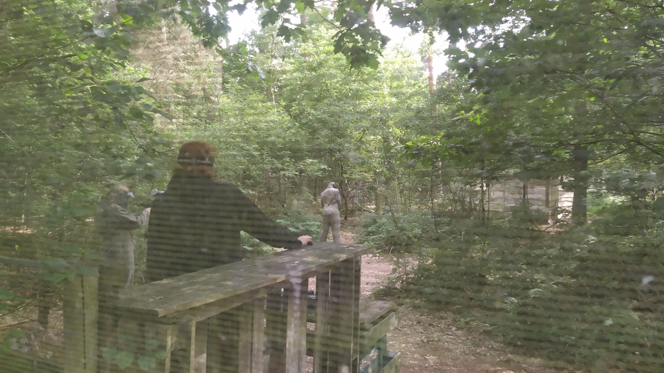 Big Activity: Paintball