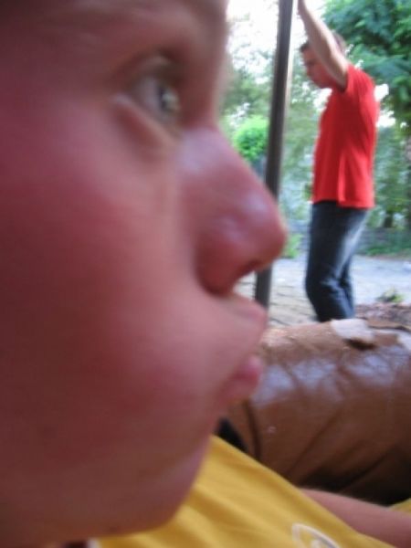 Introductie 2006