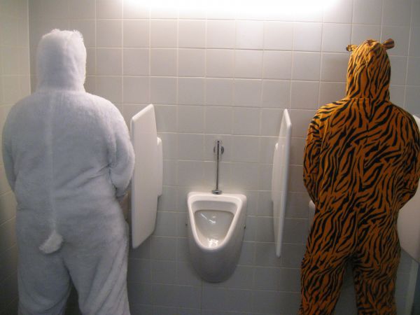 Dierenborrel