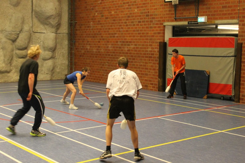 Knotsbaltoernooi